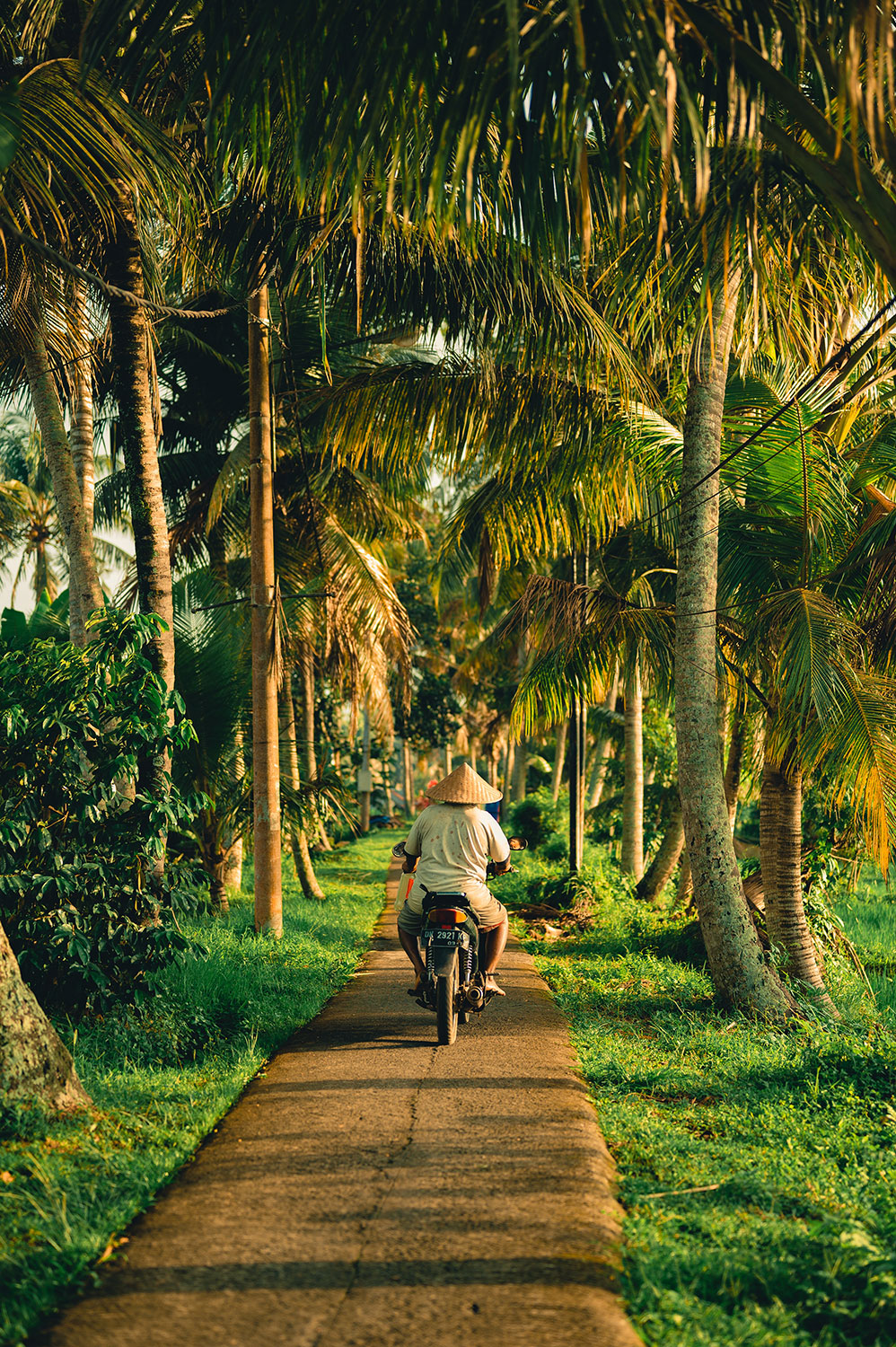 Ubud Bali Retreats